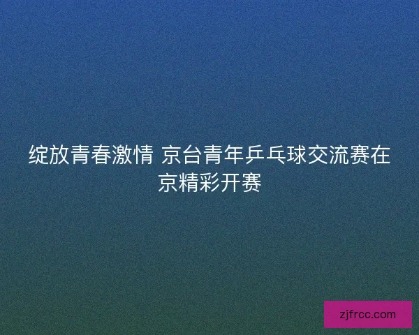 绽放青春激情 京台青年乒乓球交流赛在京精彩开赛